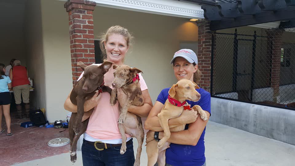 PetConnect Rescue - Hurricane Florence Rescue3.jpg